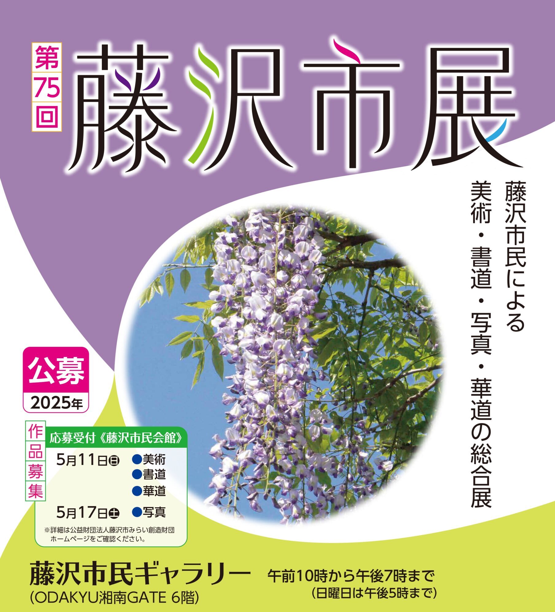 シュロチク　※要掘り出し、引き取り限定！　藤沢市 シュロチクの中古が安い！激安で譲ります・無料であげます｜ジモティー