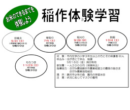 稲作体験