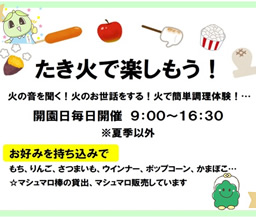 焚き火開始（少年の森）