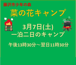 菜の花キャンプ（少年の森）