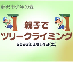 親子でツリークライミング（少年の森）