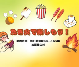 たき火（少年の森）