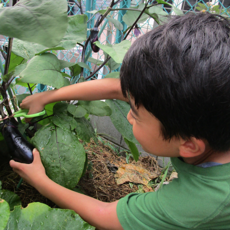 児童クラブの生活