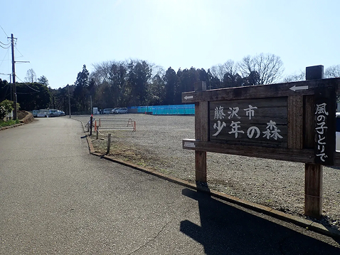 少年の森