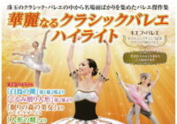 華麗なるクラシックバレエ ハイライト