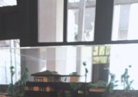 クリスマスいけばな～日本の文化にふれよう～参加者募集