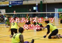 ふれあいスポーツ交流会（ローリングバレーボール・ボッチャ）