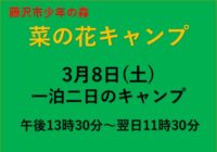菜の花キャンプ