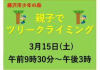 親子でツリークライミング