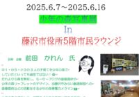 少年の森写真展in藤沢市役所5階市民ラウンジ