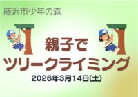 親子でツリークライミング
