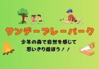 サンデープレーパーク