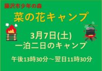 菜の花キャンプ